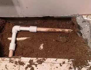 西固测漏水哪家好