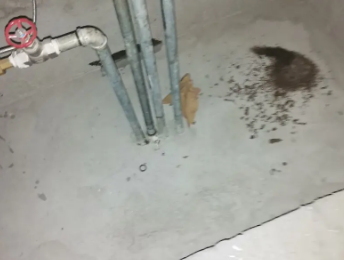 西固卫生间测漏水价格明细