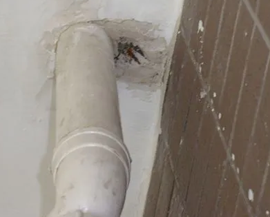 西固漏水检测哪家好